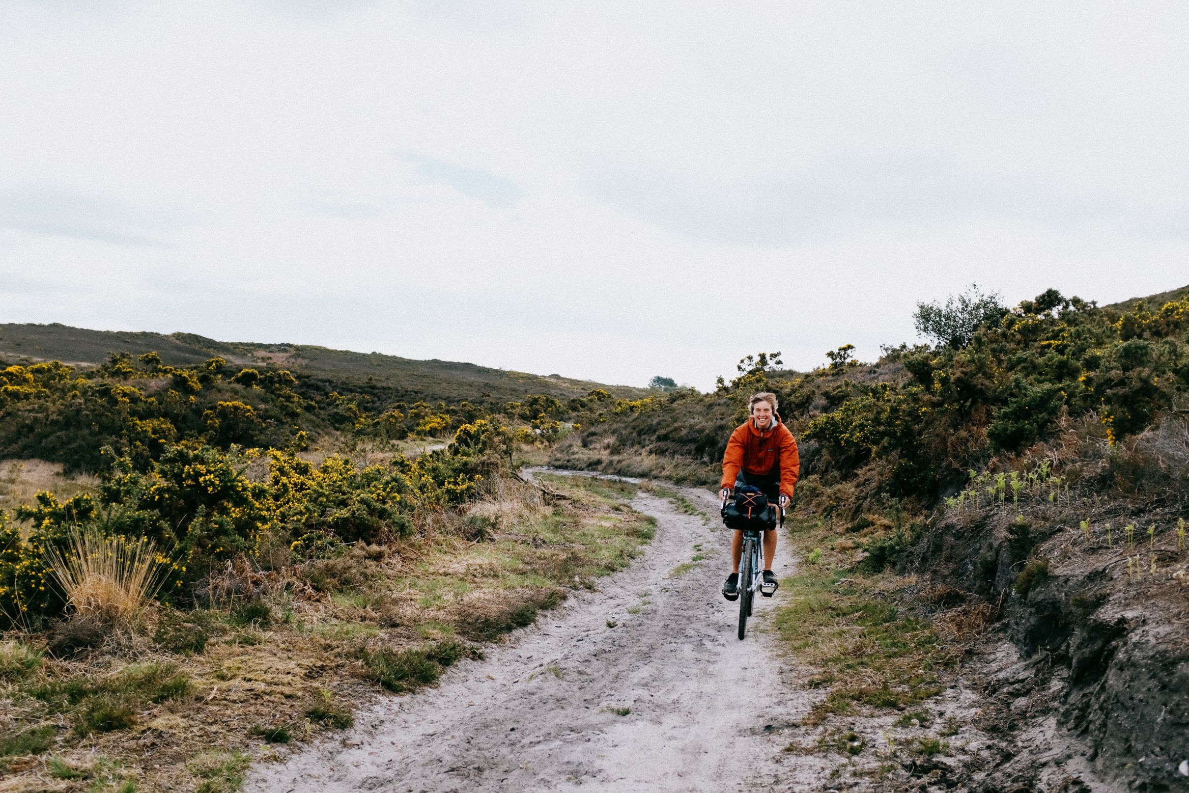 Coming up a pale gravel track between heather and gorse