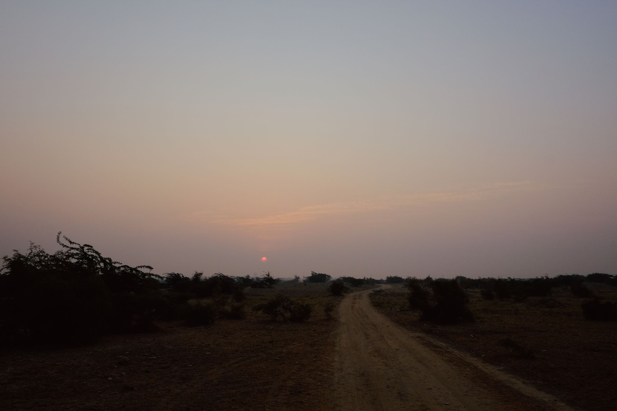A dirt track running out into scrub, the sun coming up flat and pale through desert haze