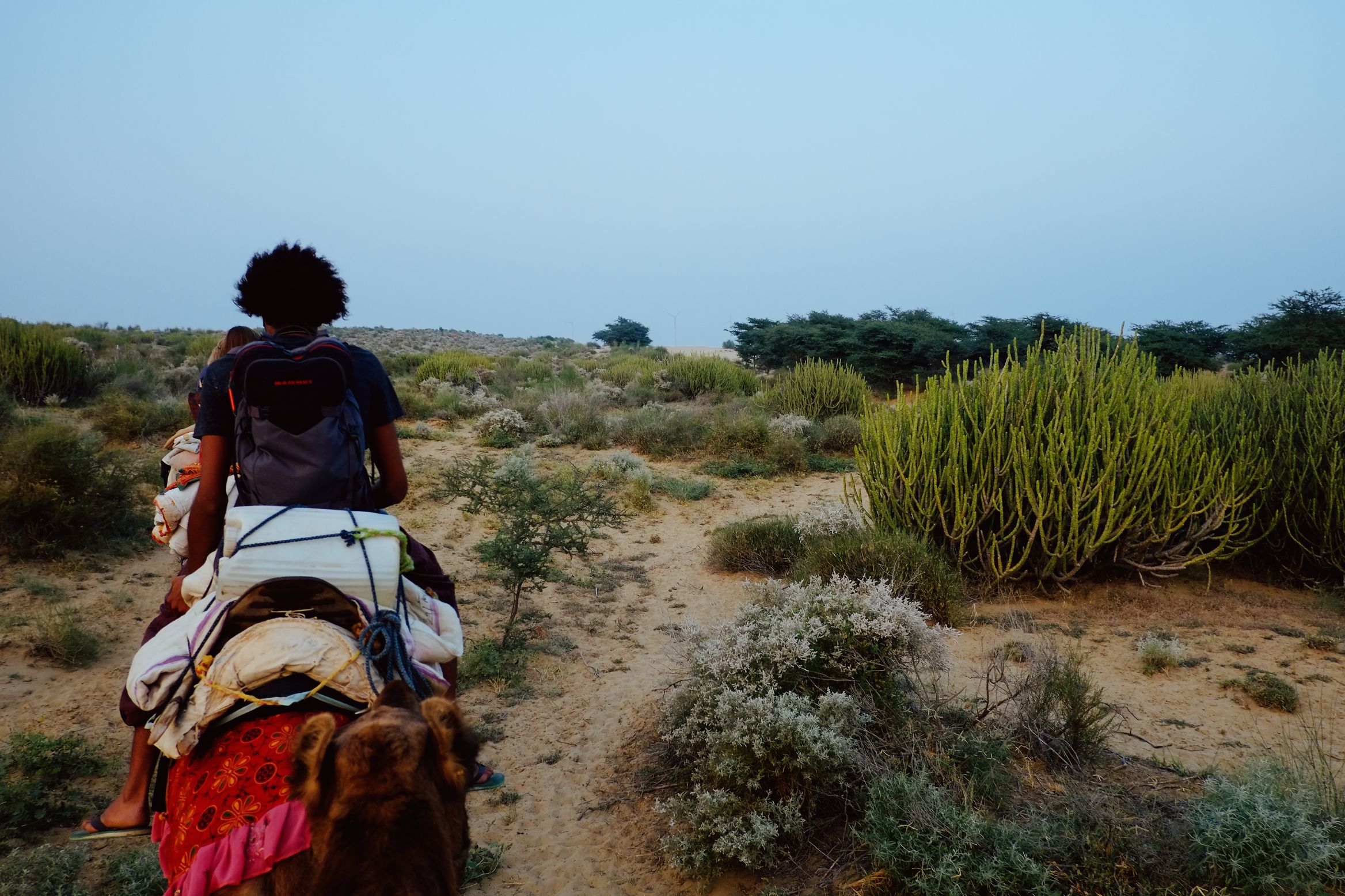 Riding out through low scrub at dusk, seen from the camel behind — a rider ahead with a pack on their back, sand track winding between bushes
