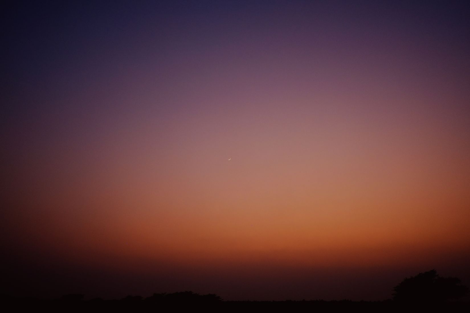 Bare gradient sky after sunset, orange to deep violet, a single star out over a black line of trees