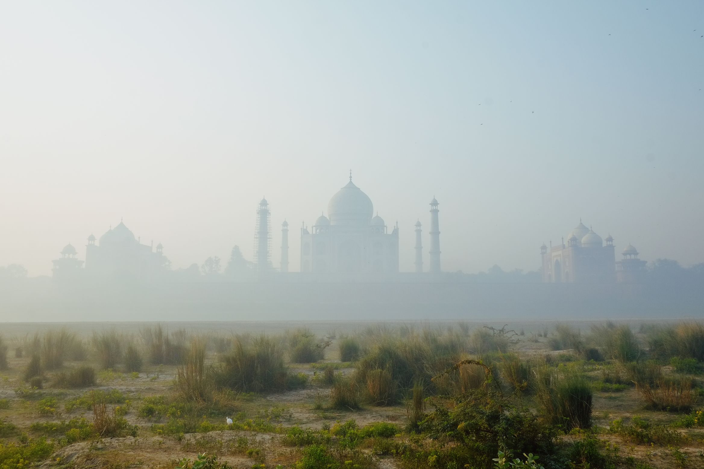 The Taj Mahal in heavy morning mist, almost weightless above the scrub and sand of the far riverbank