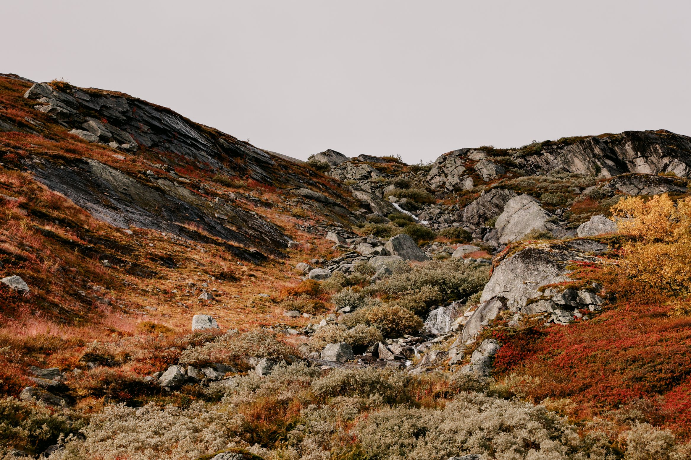 A hillside above the treeline turning rust and orange, a faint path threading up through the rocks