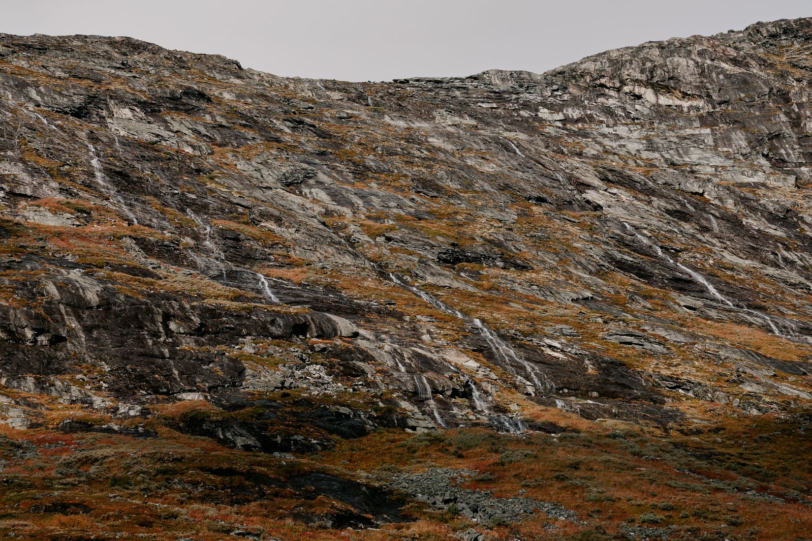 Dozens of thin waterfalls streaking down a grey rock face patched with autumn heath