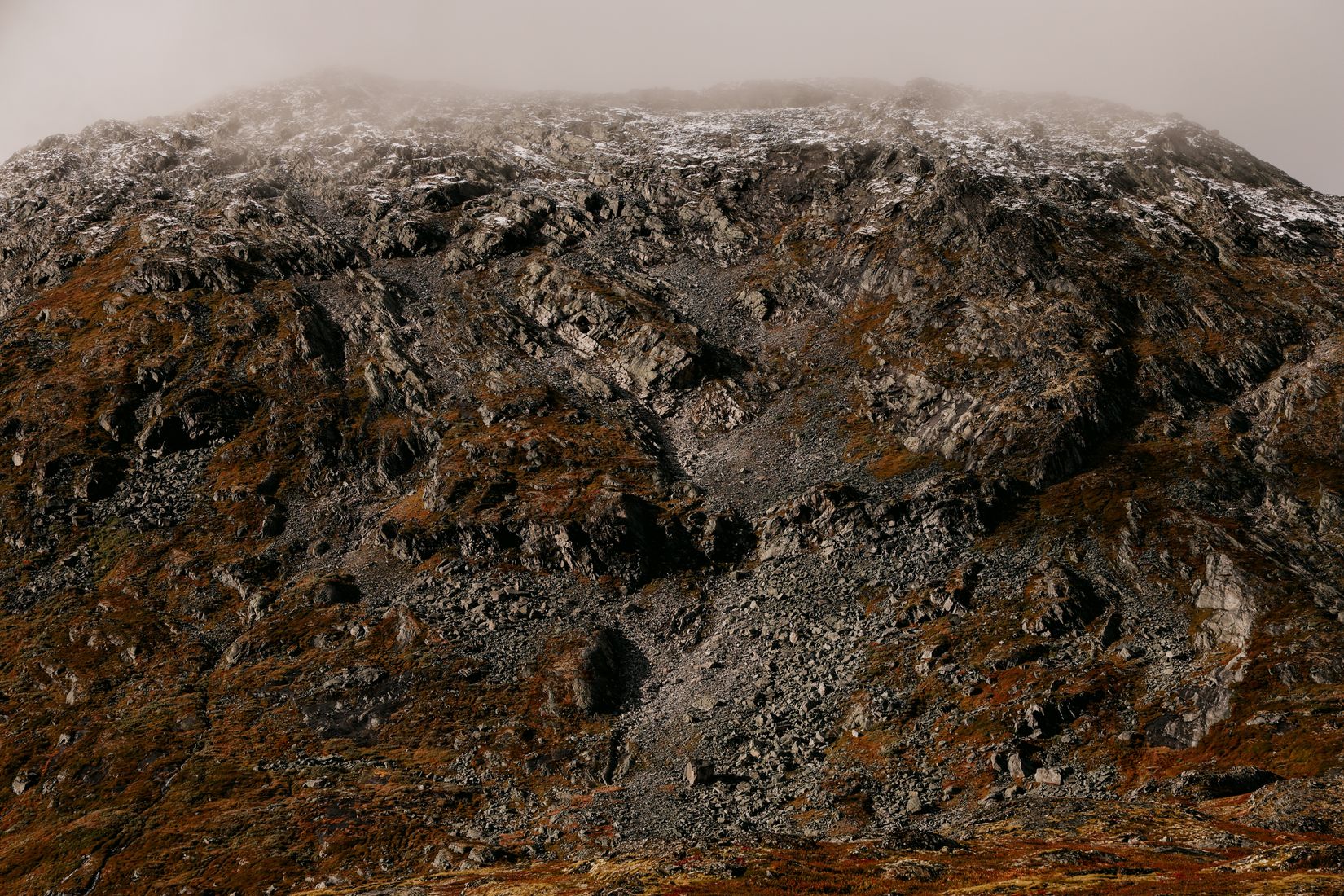 A scree-covered summit disappearing into flat white mist, moss and lichen in the foreground