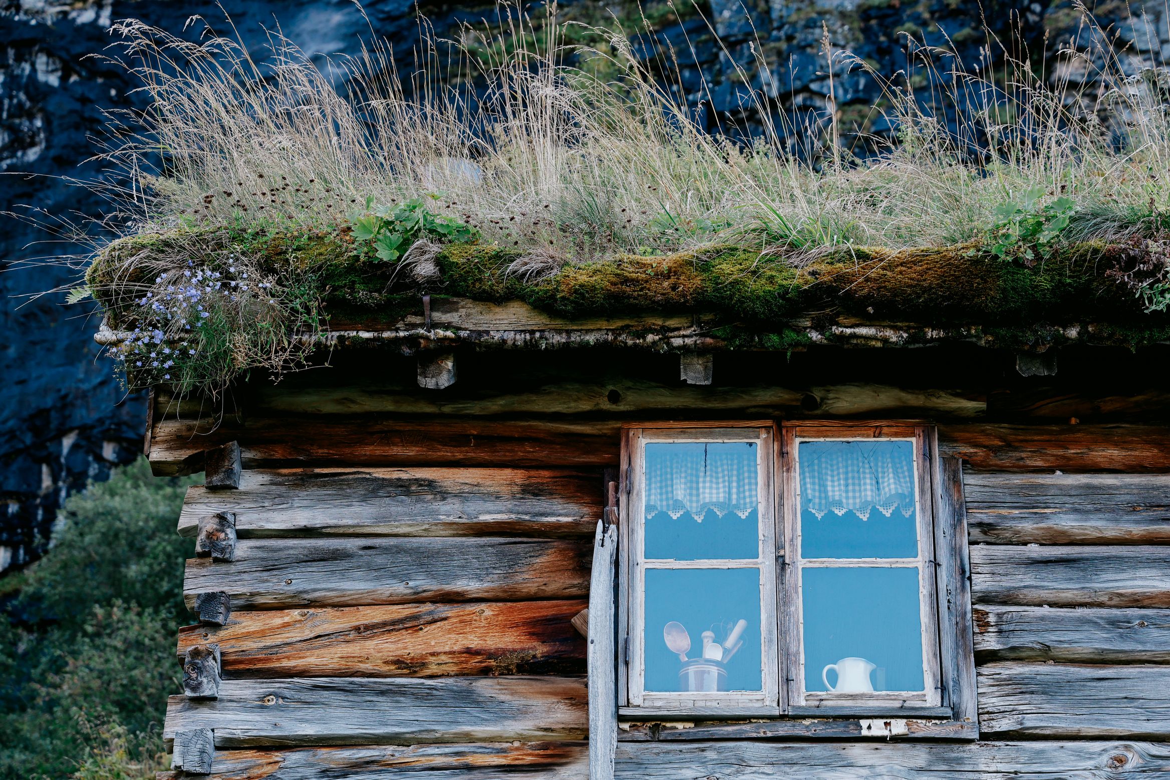 A log cabin window with lace curtains and a jug on the sill, grass growing thick on the turf roof above