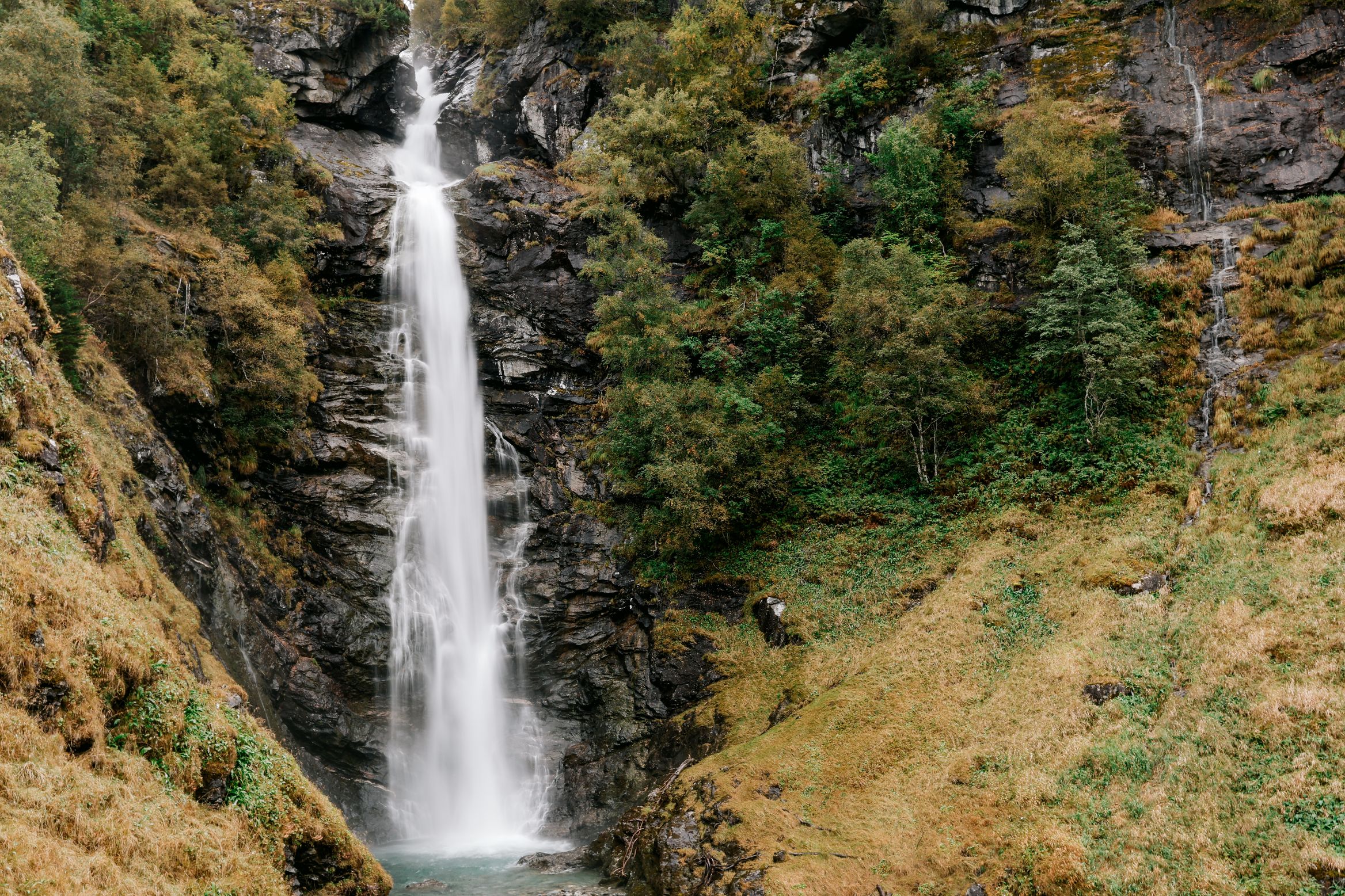 A single white waterfall dropping into a bowl of grass and birch