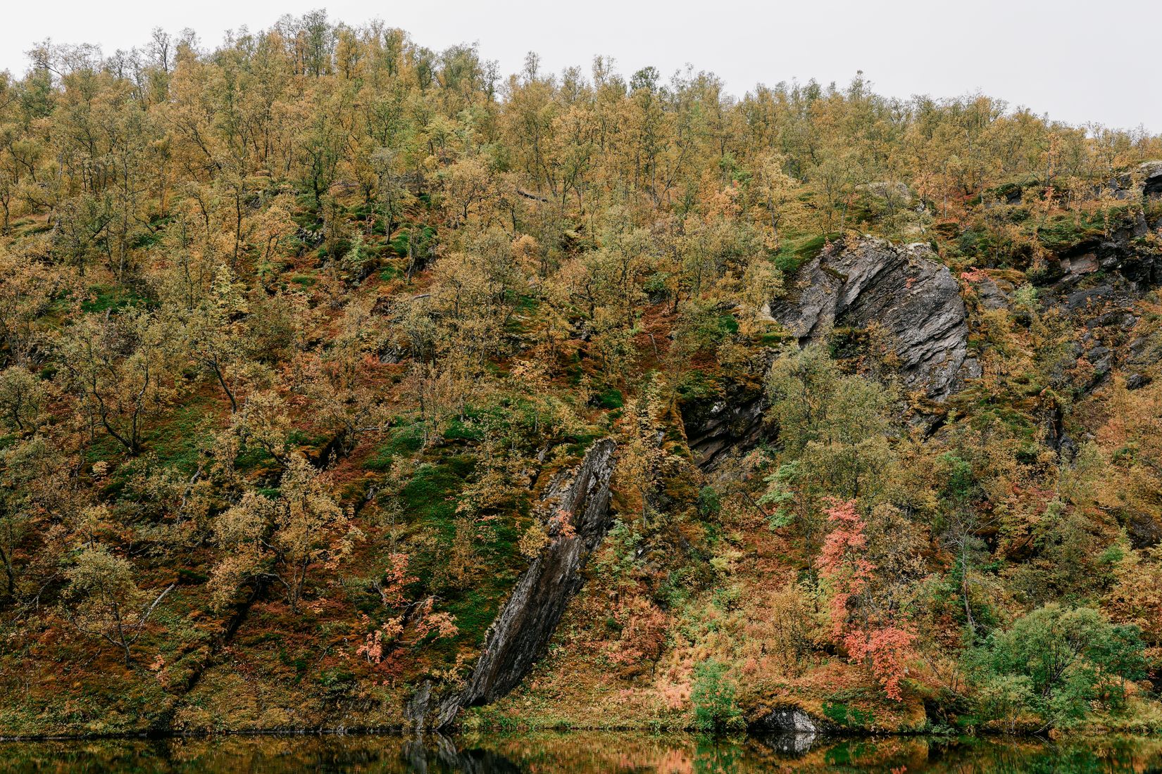A hillside of scrubby birch and rock reflected in the water at its foot