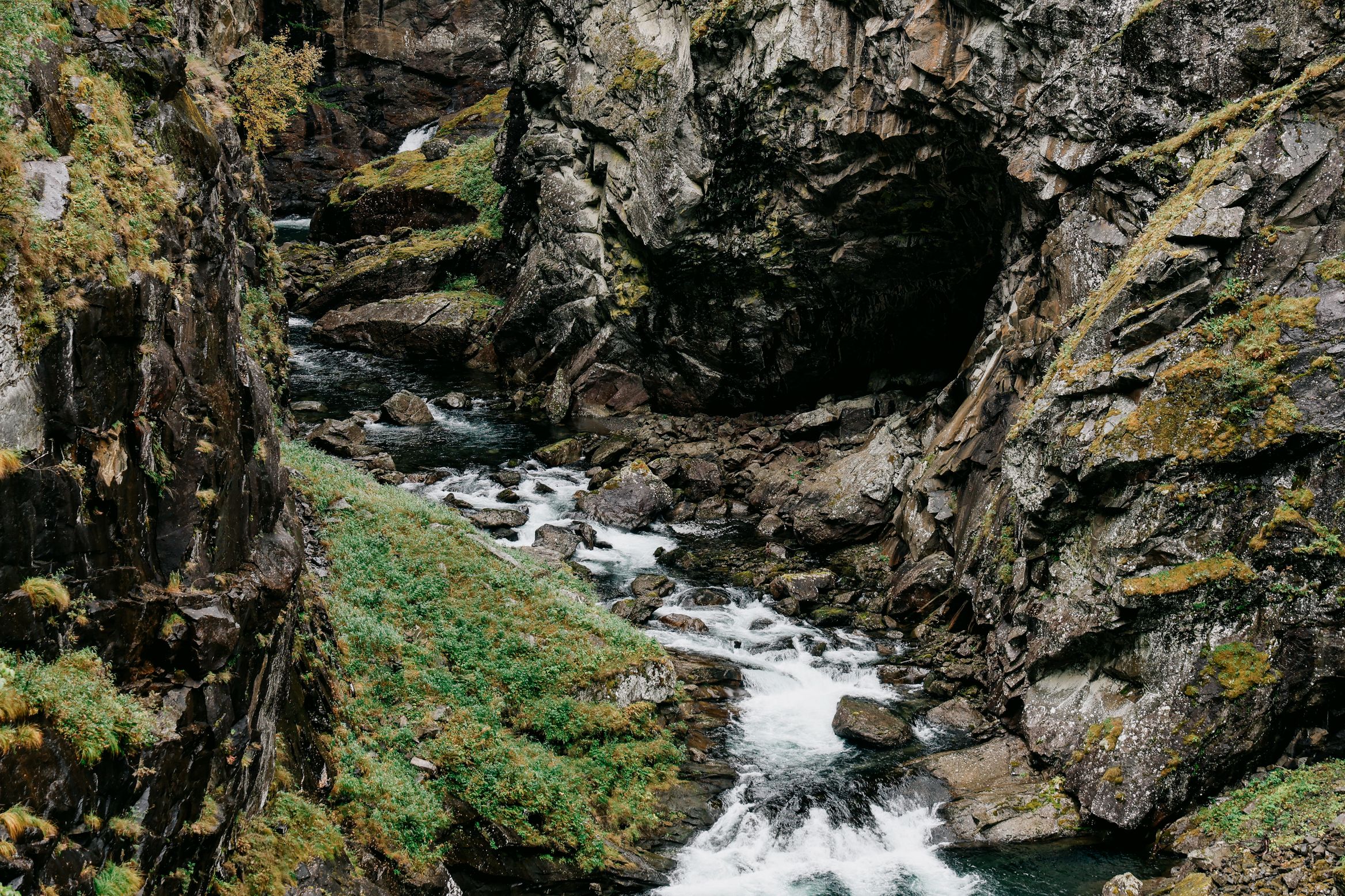A stream running white through a deep mossy gorge