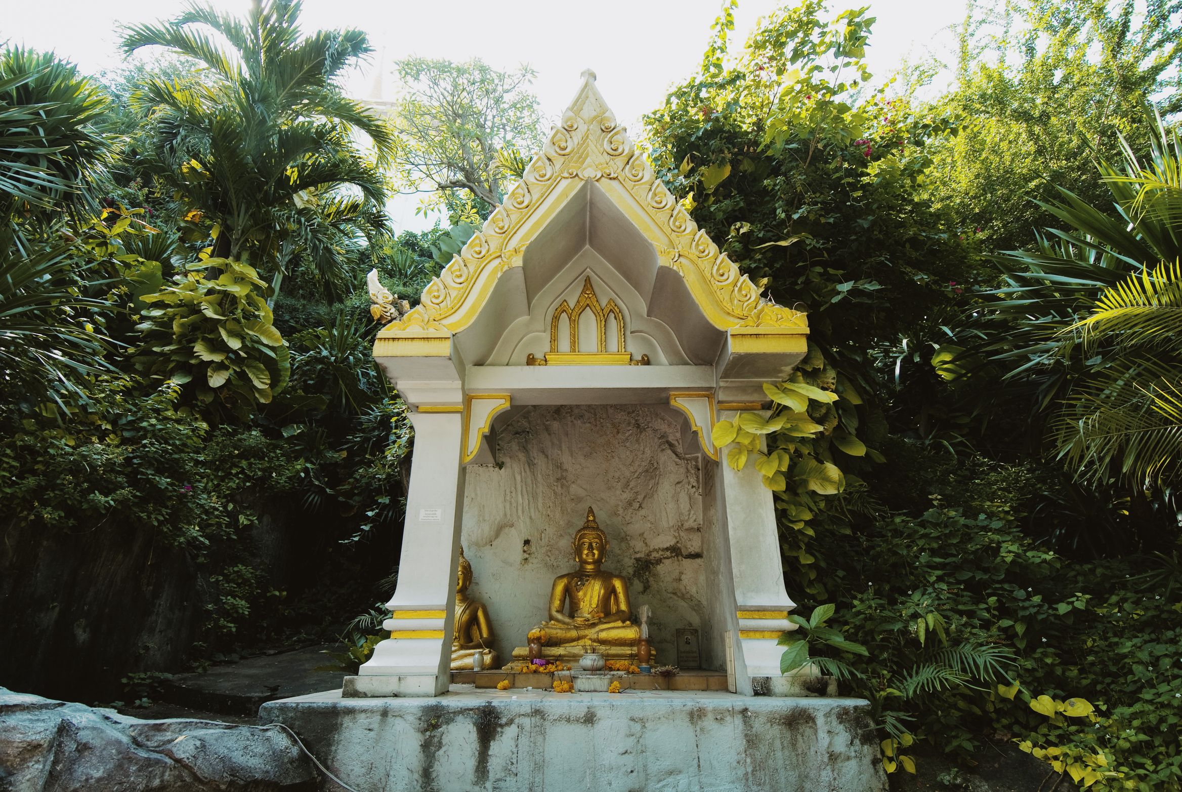 A small white and gold shrine set back in dense palms, seated Buddha inside