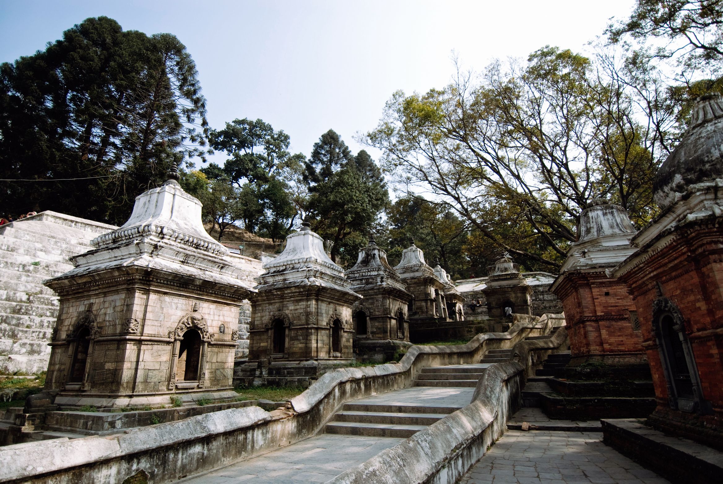 A hillside of stone shrines stepping up between trees, a path and steps running through them