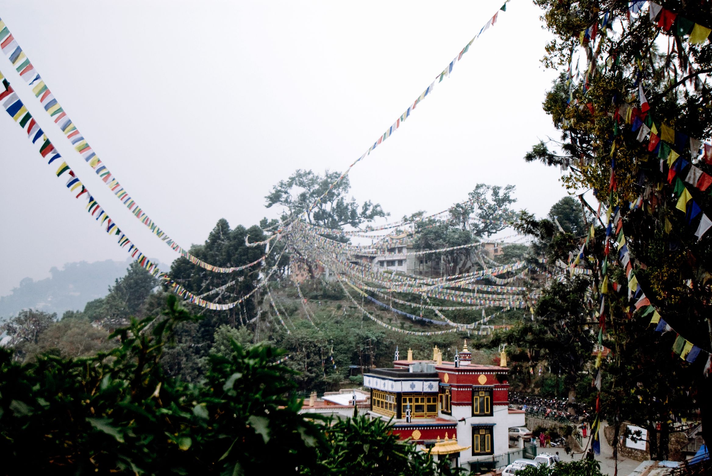 Long lines of prayer flags strung down a wooded hillside to a monastery below