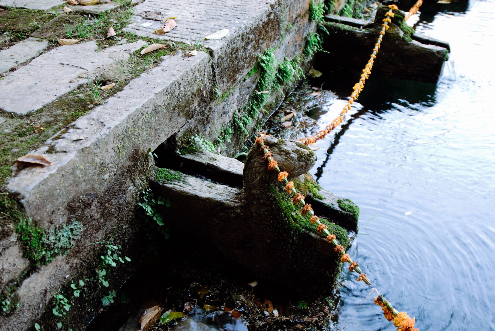 A string of marigolds hung across a mossy stone water tank