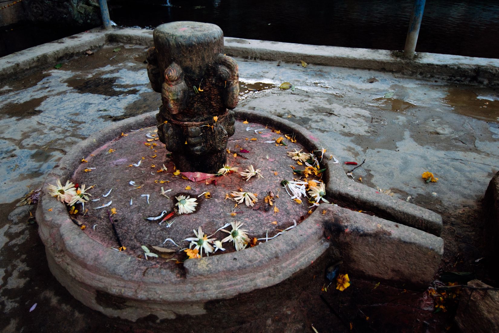 A carved stone lingam on its round base, scattered with marigold heads and white petals