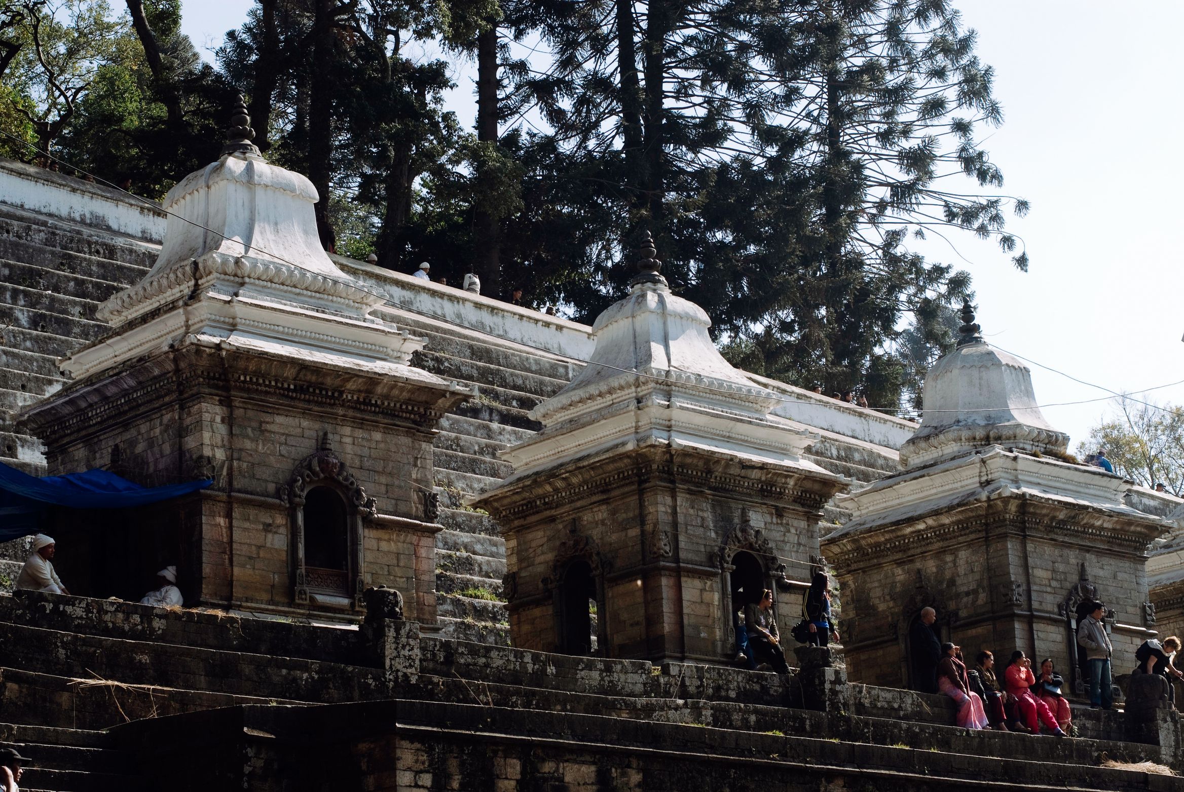 A row of pale stone shrines on a terrace, tall pines rising behind them