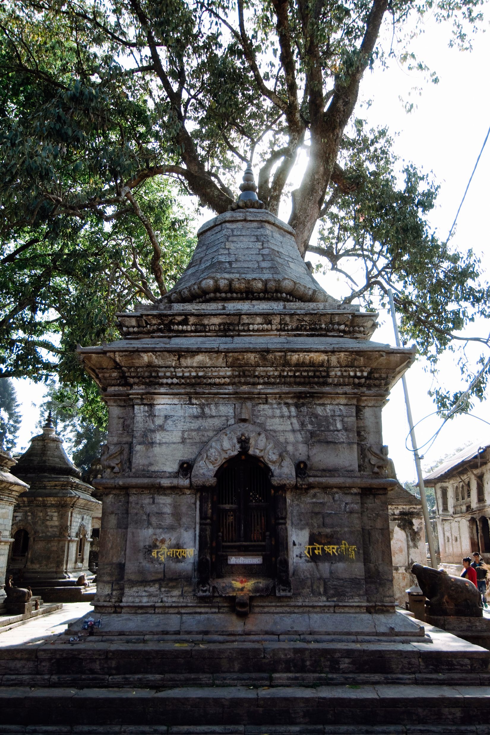 A grey stone shrine under a spreading tree, a shaft of sun coming through the branches