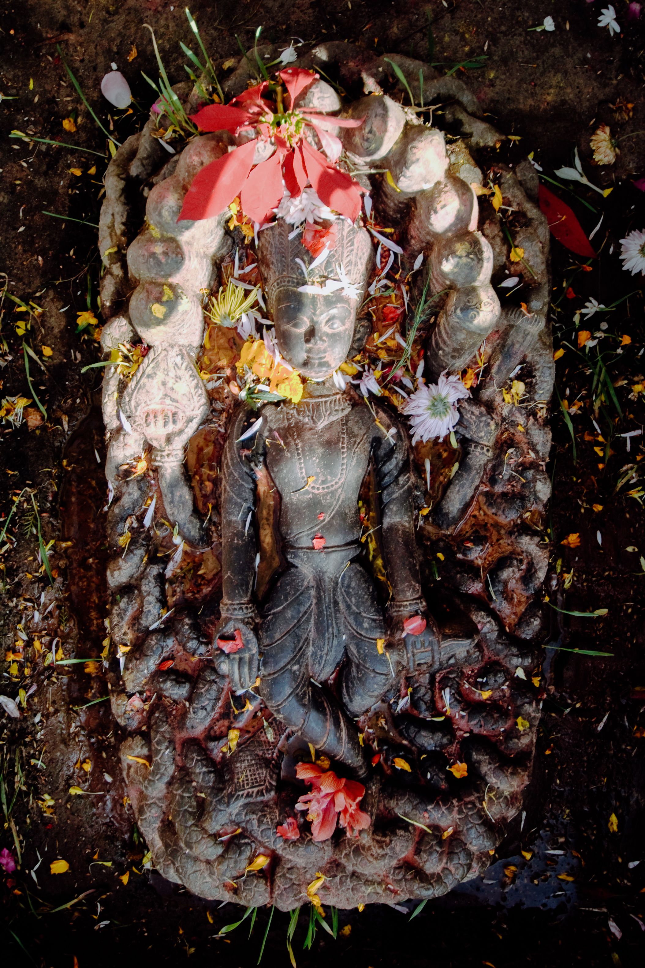 A carved stone deity laid flat and covered with red and yellow flower heads