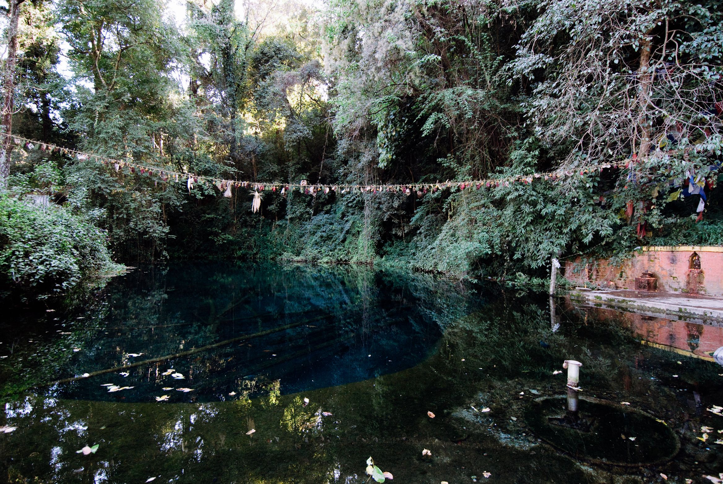 A deep blue-black pool under overhanging trees, a line of cloth strung across it