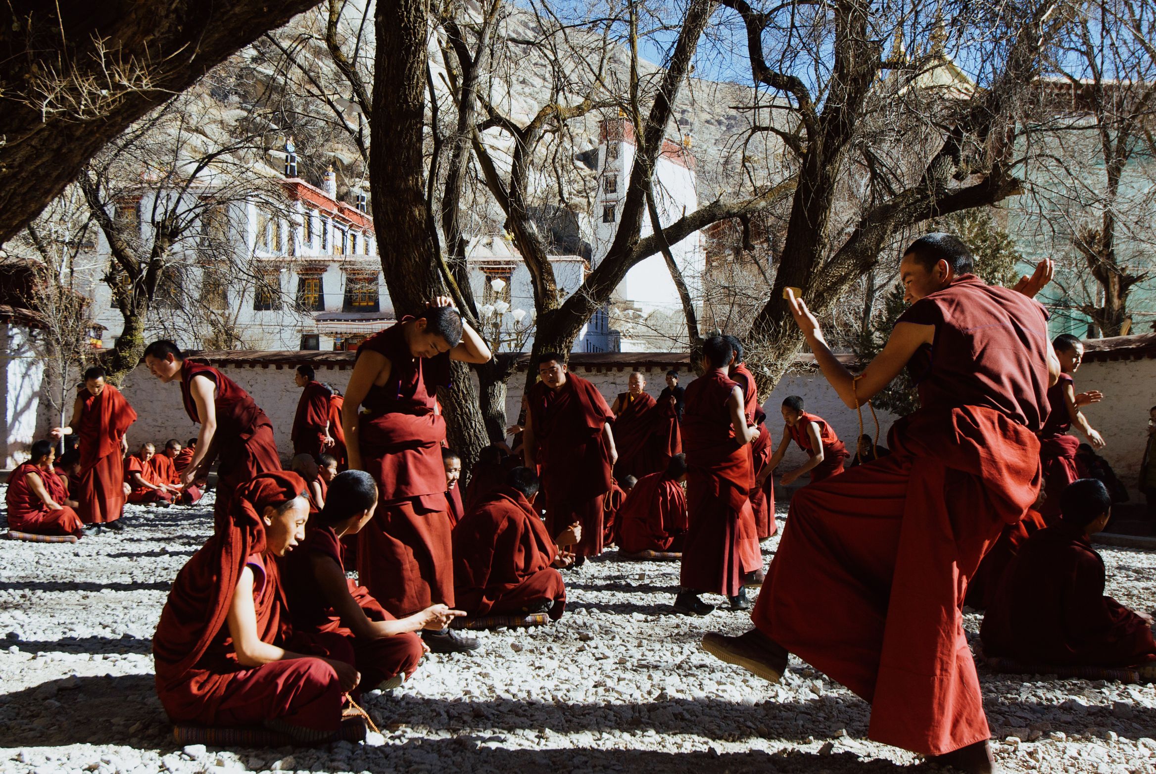 Monks debating in a gravel courtyard under bare trees, one mid-clap standing over the others