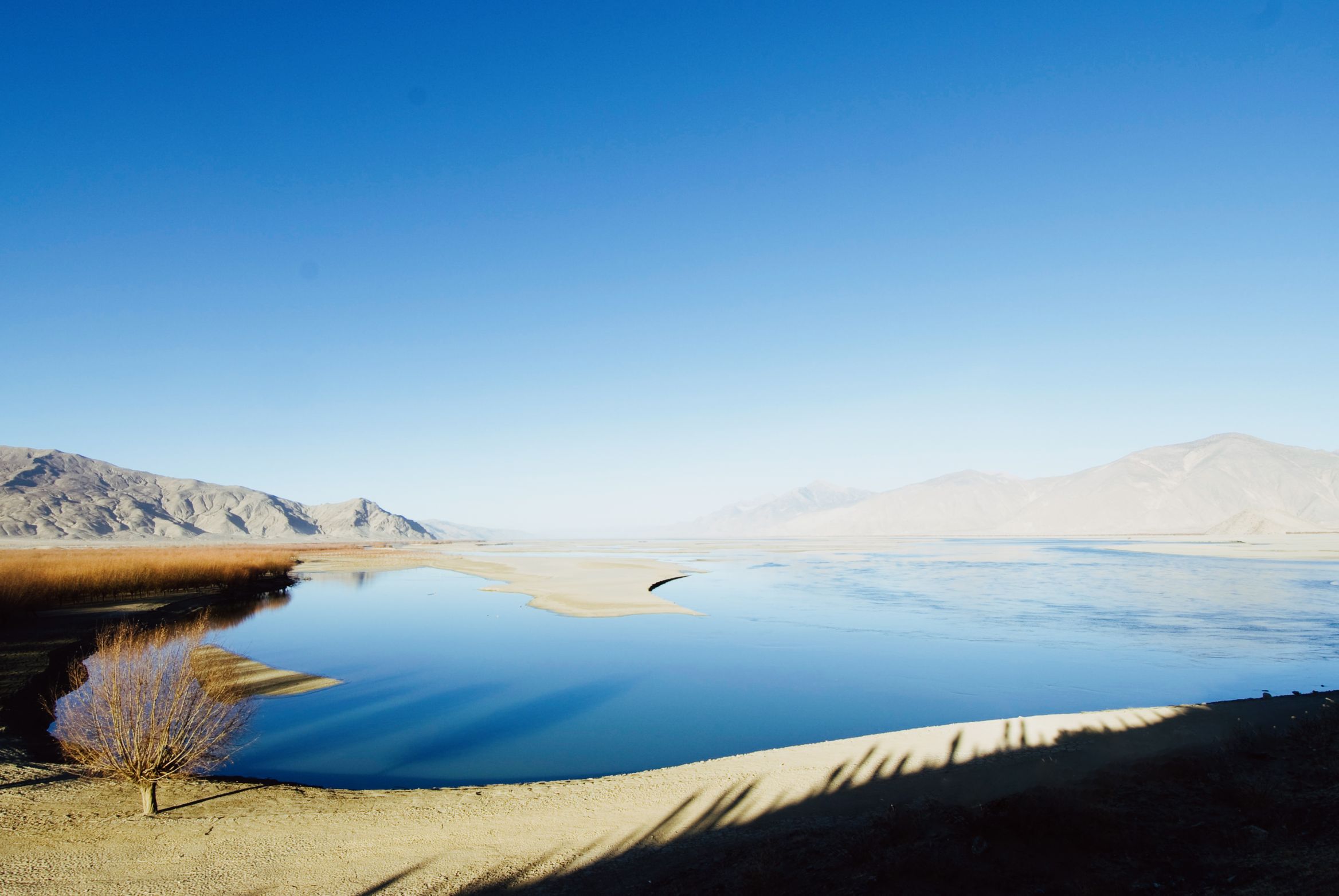 A bare tree on the shore of a still blue river, dry mountains along the far side