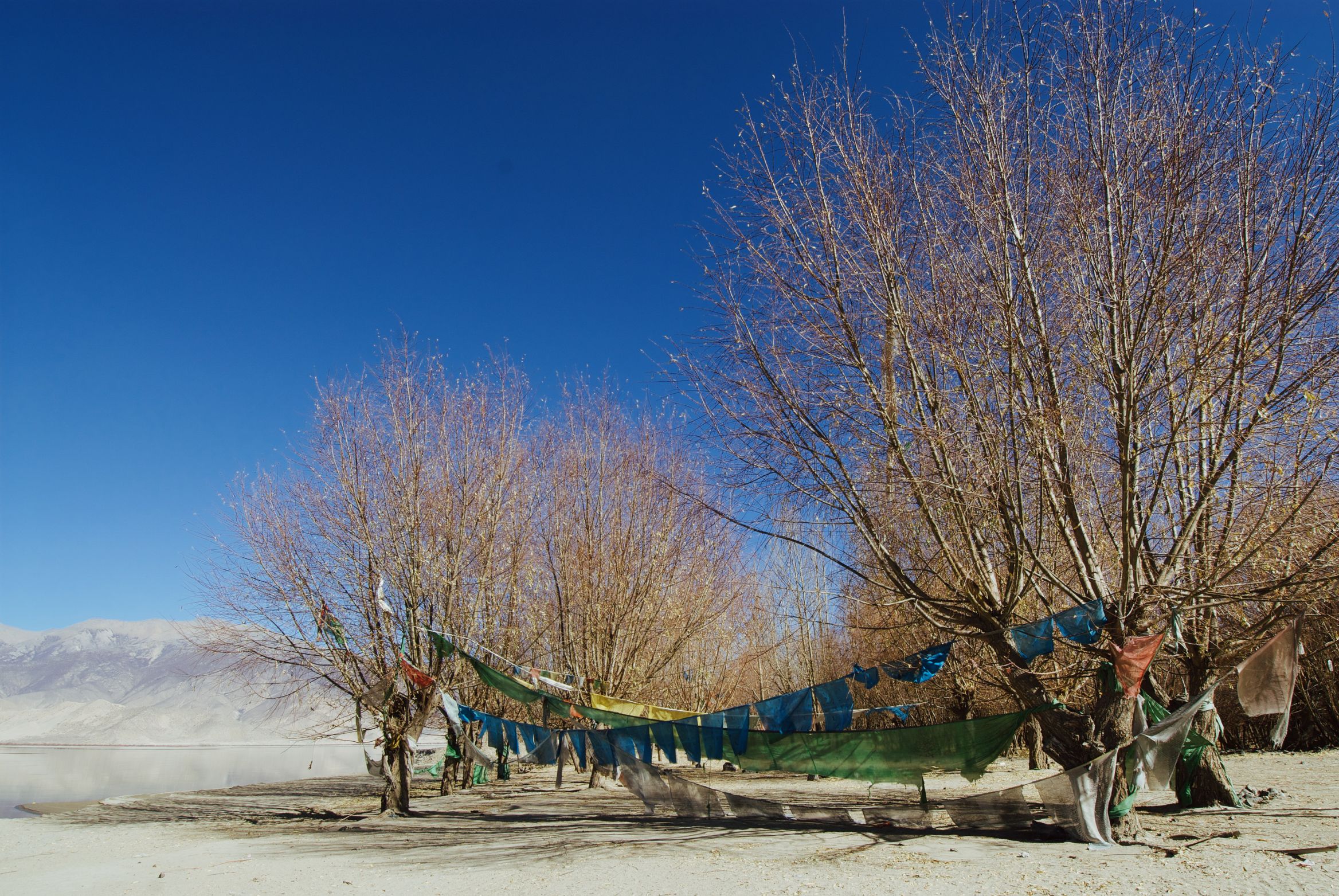 Faded prayer flags strung between bare trees on a sandy riverbank