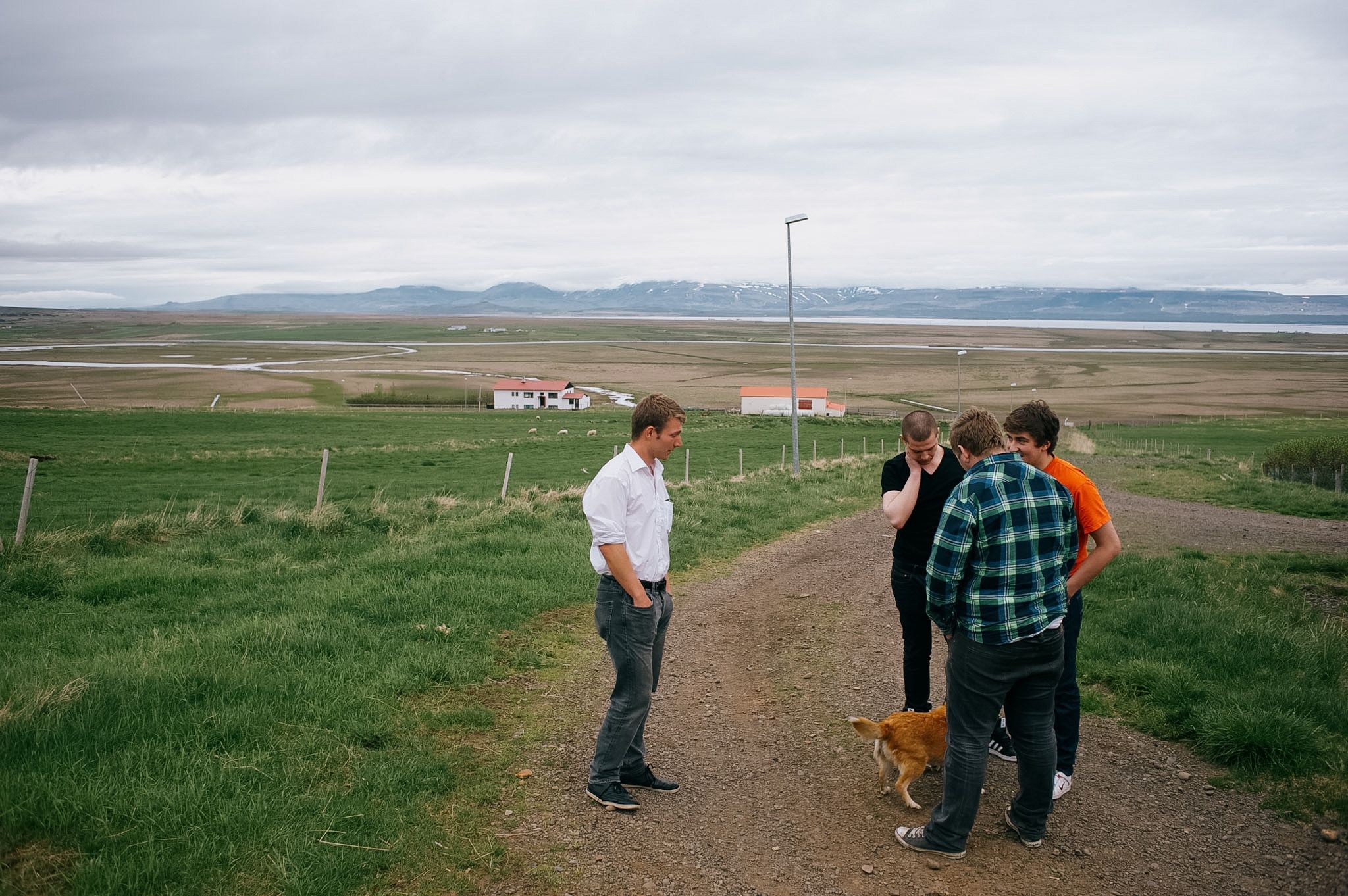 A farmer in a white shirt talking to four young people on a gravel track, a collie between them, the fjord flat behind